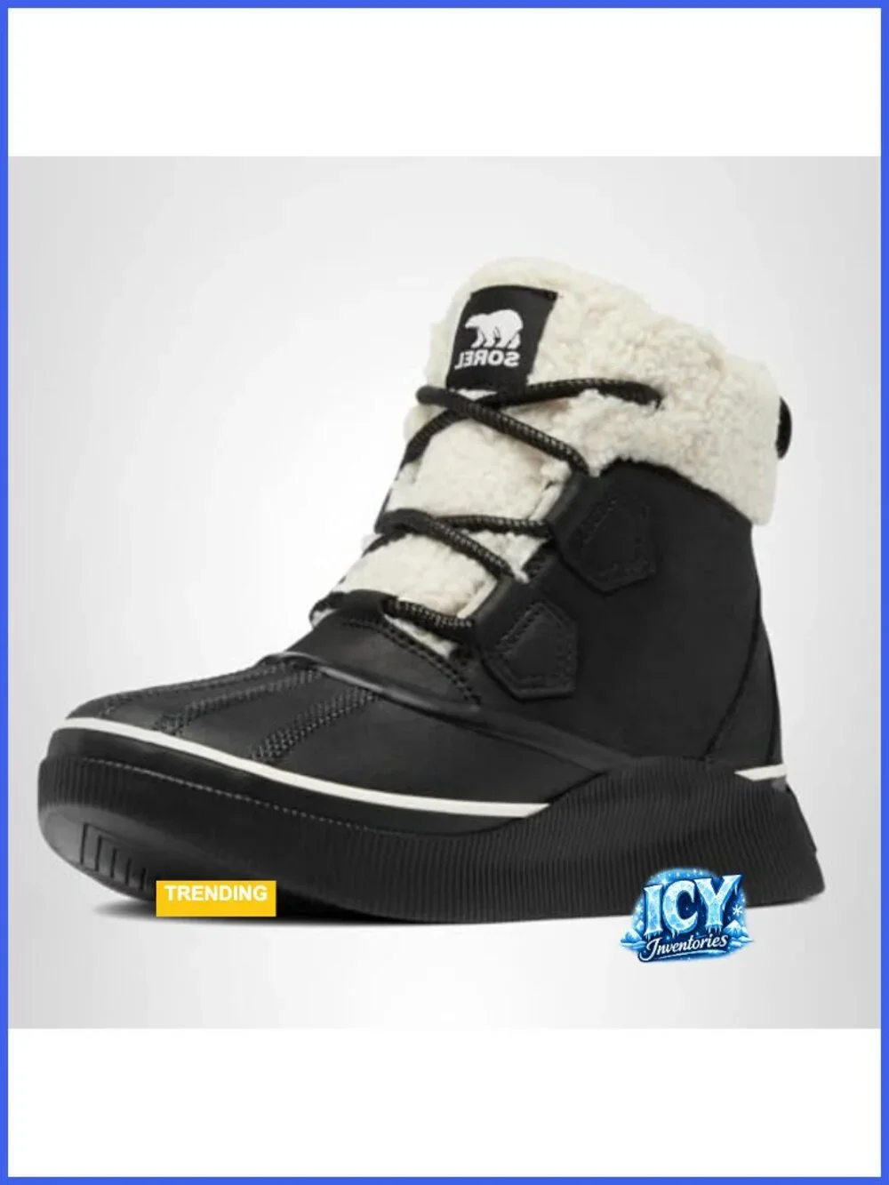 Waterproof Ankle Snow Boot - Faux Fur Lining, Lace Up